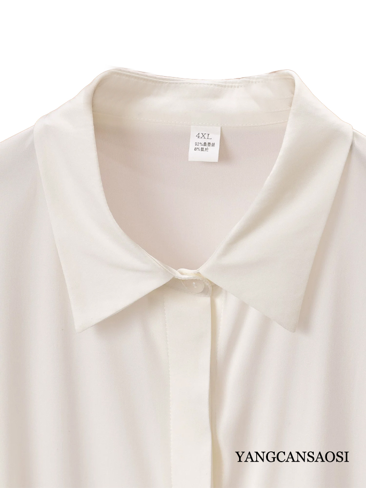 Chemise à manches longues poly - Silk Blouse avis et prix