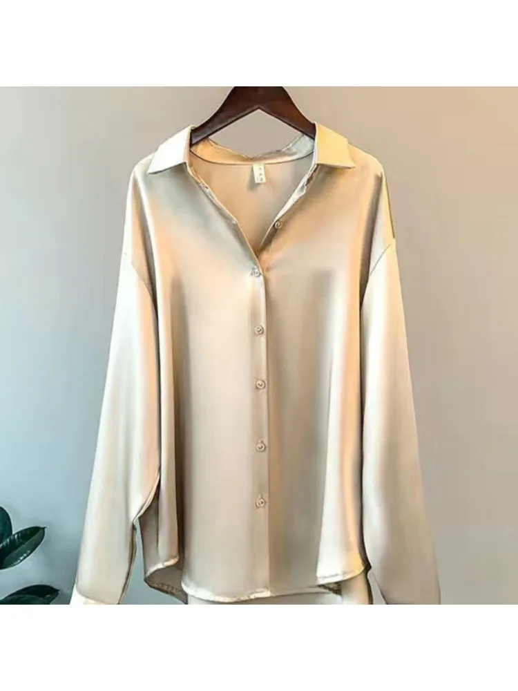 Grande taille décontracté femm - Silk Blouse avis et prix