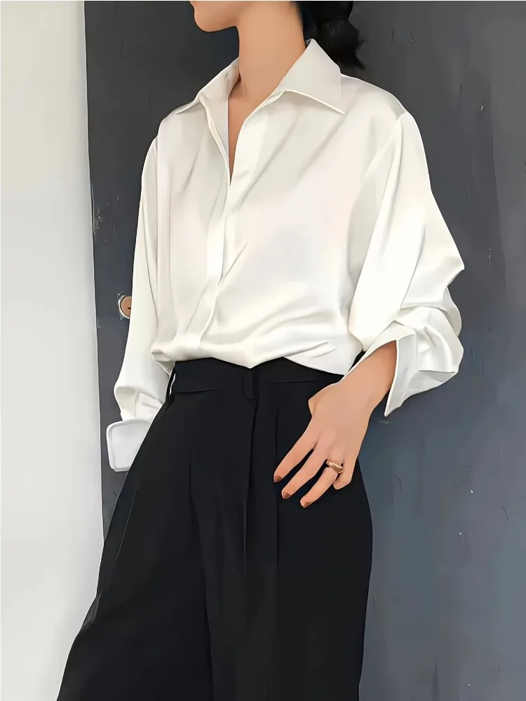 Grande taille décontracté femm - Silk Blouse avis et prix